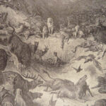 Fables of La Fontaine – Gustave Doré – c.1880 | Thornbury Translation