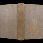 The Gray Fairy Book – Andrew Lang – 1900 | First Edition