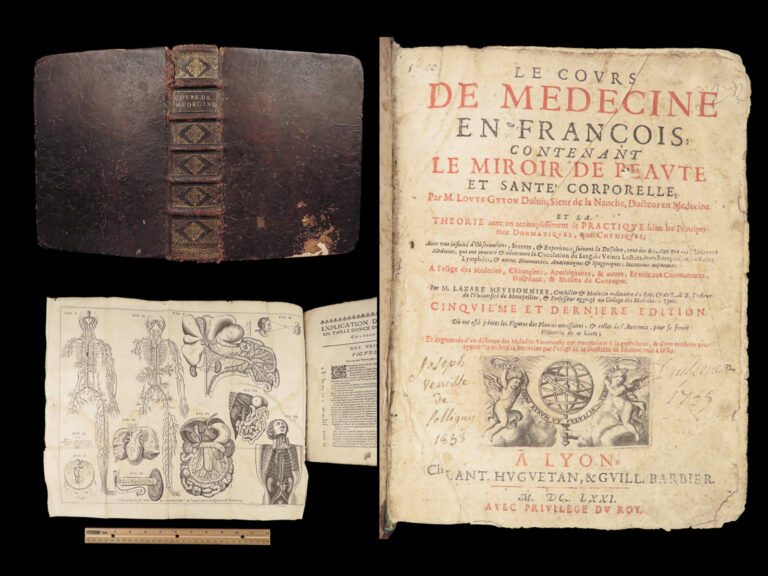 Image of Le cours de medecine en François – Louis Guyon – 1671 | Illustrated Anatomy & Botany