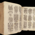 Le cours de medecine en François – Louis Guyon – 1671 | Illustrated Anatomy & Botany