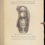 Herrmann the Magician – H.J. Burlingame – 1897 | First Edition, Illustrated Magic Tricks