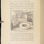Herrmann the Magician – H.J. Burlingame – 1897 | First Edition, Illustrated Magic Tricks
