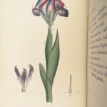 Thirty-eight Plates – Thomas Martyn – 1799 | Botanical Linnaean Plates