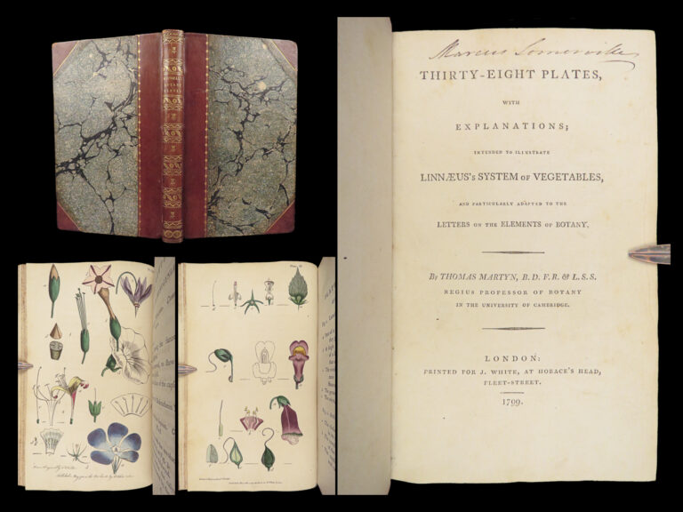 Image of Thirty-eight Plates – Thomas Martyn – 1799 | Botanical Linnaean Plates