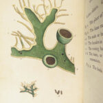 Thirty-eight Plates – Thomas Martyn – 1799 | Botanical Linnaean Plates