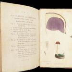 Thirty-eight Plates – Thomas Martyn – 1799 | Botanical Linnaean Plates