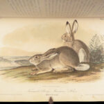 The Quadrupeds of North America – Audubon – 1849 | 155 Color Plates | First edition