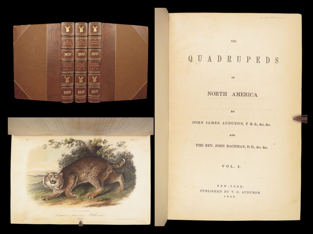 The quadrupeds of north america – audubon – 1849 | 155 color plates | first edition | three-volume 1849–1854 first octavo edition of audubon and bachman’s quadrupeds, complete with 155 hand-colored plates and full leather bindings.