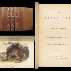 The Quadrupeds of North America – Audubon – 1849 | 155 Color Plates | First edition
