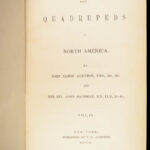 The Quadrupeds of North America – Audubon – 1849 | 155 Color Plates | First edition