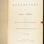 The Quadrupeds of North America – Audubon – 1849 | 155 Color Plates | First edition