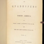 The Quadrupeds of North America – Audubon – 1849 | 155 Color Plates | First edition