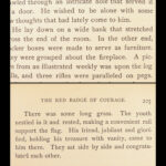 The Red Badge of Courage – Stephen Crane – 1896 | First Edition