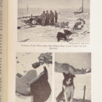 1935 Second Richard Byrd Expedition to Antarctica | First Edition Signed by Byrd