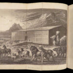 Scripture History – Alexander Fletcher – 1850 | Illustrated Bible Scenes