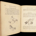 1859 Secret Out by Wiljalba Frikell | 1st edition Magic Card Tricks Secrets