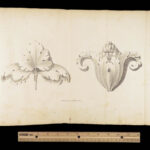 A Complete Course of Lithography – Alois Senefelder – 1819 | Illustrated First English Edition