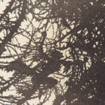 The Sleeping Beauty – C.S. Evans – 1920 | Illustrated by Arthur Rackham