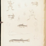 U.S. Naval Astronomical Expedition – J. M. Gilliss – 1855 | First Edition, Illustrated