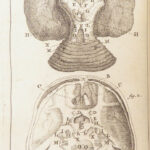 Appendix to Anthropologia nova – James Drake – 1728 | 51 Engravings of Human Anatomy