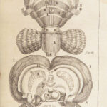 Appendix to Anthropologia nova – James Drake – 1728 | 51 Engravings of Human Anatomy