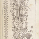 Appendix to Anthropologia nova – James Drake – 1728 | 51 Engravings of Human Anatomy