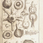 Appendix to Anthropologia nova – James Drake – 1728 | 51 Engravings of Human Anatomy
