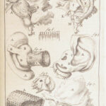 Appendix to Anthropologia nova – James Drake – 1728 | 51 Engravings of Human Anatomy