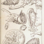 Appendix to Anthropologia nova – James Drake – 1728 | 51 Engravings of Human Anatomy