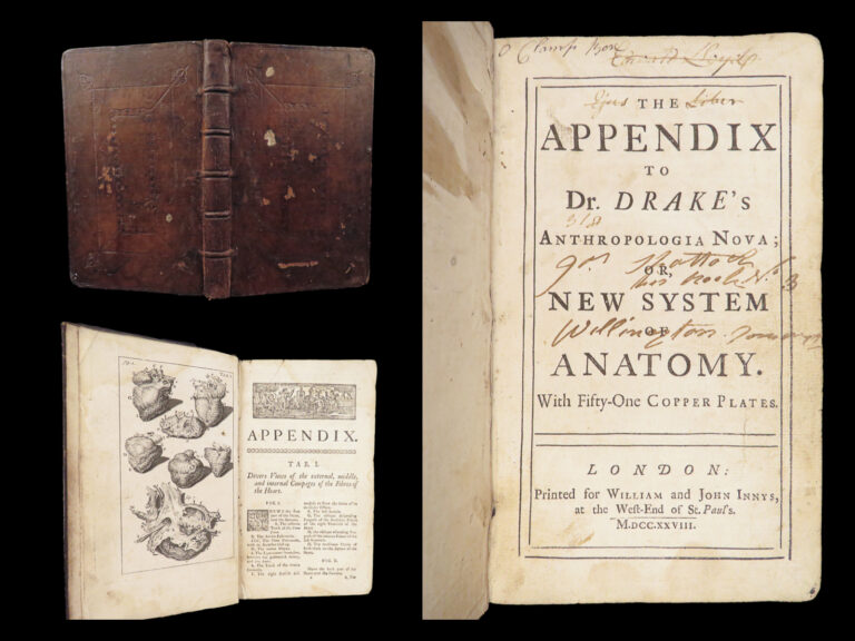 Image of Appendix to Anthropologia nova – James Drake – 1728 | 51 Engravings of Human Anatomy