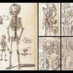 Appendix to Anthropologia nova – James Drake – 1728 | 51 Engravings of Human Anatomy