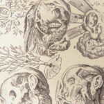 Appendix to Anthropologia nova – James Drake – 1728 | 51 Engravings of Human Anatomy