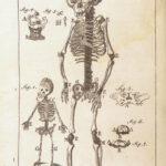 Appendix to Anthropologia nova – James Drake – 1728 | 51 Engravings of Human Anatomy