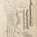 Appendix to Anthropologia nova – James Drake – 1728 | 51 Engravings of Human Anatomy