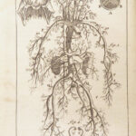 Appendix to Anthropologia nova – James Drake – 1728 | 51 Engravings of Human Anatomy