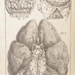 Appendix to Anthropologia nova – James Drake – 1728 | 51 Engravings of Human Anatomy