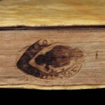 Commentarii Collegii Conimbricensis – Jesuit – 1600 | Aristotle Generation Commentary