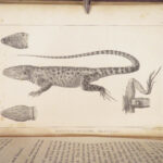 Exploration of the Great Salt Lake – Howard Stansbury – 1852 | First Edition, 58 Plates