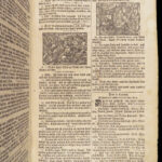Biblia – Holy Bible – 1734 | Martin Luther, Enormous German Basel Folio