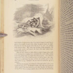 The Life and Adventures of Robinson Crusoe – Daniel Defoe – 1853 | Grandville Illustrations