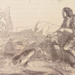 The Life and Adventures of Robinson Crusoe – Daniel Defoe – 1853 | Grandville Illustrations