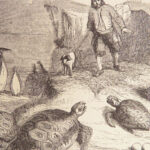 The Life and Adventures of Robinson Crusoe – Daniel Defoe – 1853 | Grandville Illustrations