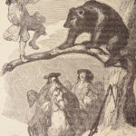 The Life and Adventures of Robinson Crusoe – Daniel Defoe – 1853 | Grandville Illustrations
