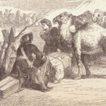 The Life and Adventures of Robinson Crusoe – Daniel Defoe – 1853 | Grandville Illustrations