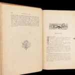 The Life and Adventures of Robinson Crusoe – Daniel Defoe – 1853 | Grandville Illustrations