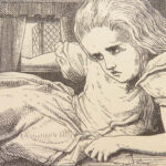 Alice’s Adventures in Wonderland – Lewis Carroll – 1877 | Tenniel Illustrated