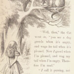 Alice’s Adventures in Wonderland – Lewis Carroll – 1877 | Tenniel Illustrated