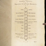 Annulus Platonis – 1781 | Aurea catena Homeri, Rosicrucian Alchemy