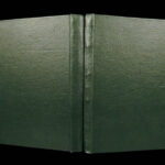 Offices Belonging to Horsemanship – Blundeville – 1597 | First Edition, Curing & Dieting Horses