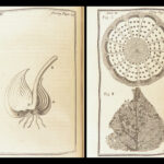 A General Treatise of Agriculture – Richard Bradley – 1757 | First Edition, Illustrated